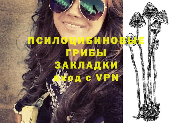метадон Арсеньев